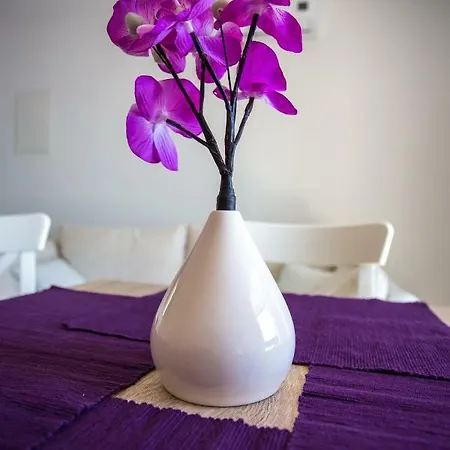 Andrea Vila *
